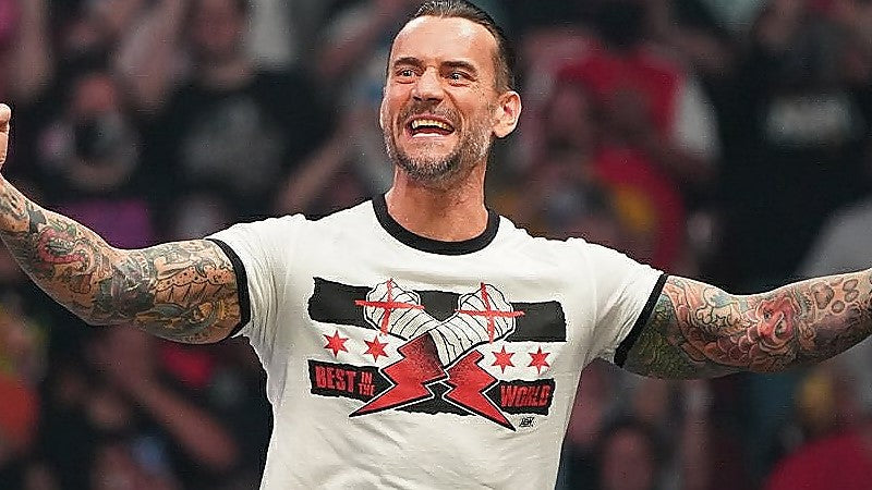 CM Punk WWE Authentic Prosphere Merchandise